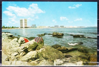 AMS - ILUSTRATA 233 MAMAIA 1966 RSR, CIRCULATA foto