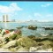 AMS - ILUSTRATA 233 MAMAIA 1966 RSR, CIRCULATA