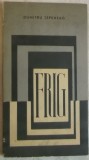 Dumitru Tepeneag - Frig (vezi detalii pentru livrare in tara)