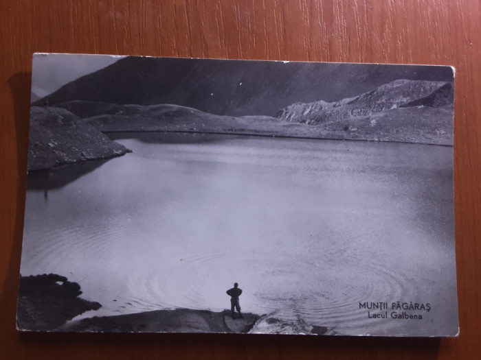 Muntii Fagaras - Lacul Galbena - Carte postala circulata 1963