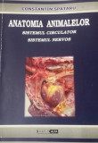 ANATOMIA ANIMALELOR - SISTEMUL CIRCULATOR / SISTEMUL NERVOS