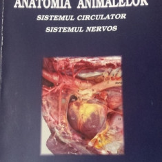 ANATOMIA ANIMALELOR - SISTEMUL CIRCULATOR / SISTEMUL NERVOS