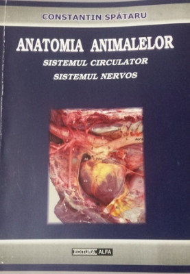 ANATOMIA ANIMALELOR - SISTEMUL CIRCULATOR / SISTEMUL NERVOS foto