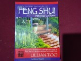Feng Shui pentru gradini (Ghid complet ilustrat) - Lillian Too (6)