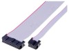 Cablu Panglică IDC 1,27mm 30cm