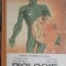 BIOLOGIE, MANUAL PENTRU CLASA A XI-A-I. TEODORESCU EXARCU, SILVIA GHERGHESCU, ILEANA CIUHAT, MARIA SOIGAN-255689