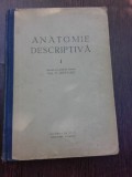 ANATOMIE DESCRIPTIVA - E.REPCIUC VOL.I