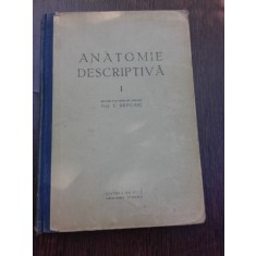 ANATOMIE DESCRIPTIVA - E.REPCIUC VOL.I