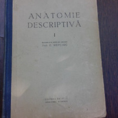 ANATOMIE DESCRIPTIVA - E.REPCIUC VOL.I