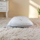 Perna matlasata antialergica aloe vera AloeDream Coneltex, dimensiuni 60x60 cm, patrata, culoare alba, umplutura fibra siliconizata