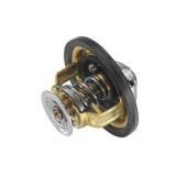 BorgWarner (Wahler) termostat, lichid racire