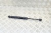Amortizor haion st&acirc;nga TESLA MODEL 3 2019 OEM: 1091560-00-B 12564861