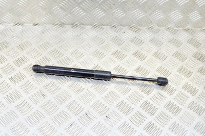 Amortizor haion st&amp;acirc;nga TESLA MODEL 3 2019 OEM: 1091560-00-B 12564861 foto