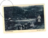 CP Sighetu Marmatiei - Malul Izei, ocupatia maghiara, animata, circulata 1942, stare buna, Fotografie