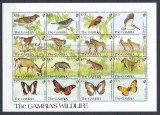 Gambia - FAUNA DIVERSA - BL - MNH, Nestampilat