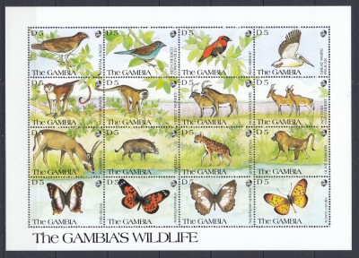 Gambia - FAUNA DIVERSA - BL - MNH foto