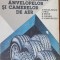 Fabricarea si exploatarea anvelopelor si camerelor de aer-D. Nicholaescu, I.Pria