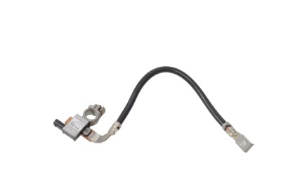 Borna cablu baterie BMW X5 F15, F85 2015 OEM: 6819309 17604885 foto