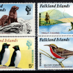 Falkland 1974, Mi #222-225**, fauna, pasari, pinguini, foci, MNH! Cota 40 €!