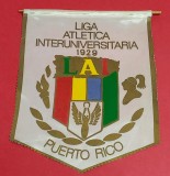 Fanion Volei - LIGA ATLETICA INTERUNIVERSITARIA PUERTO RICO Volei