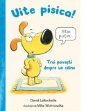 Uite pisica! Trei povesti despre un caine - David LaRochelle