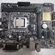 Placa de baza ASUS H110M-D, Socket LGA 1151, DDR4 + Procesor G4400