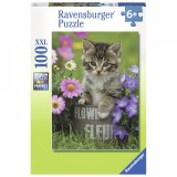 Cumpara ieftin Puzzle Pisicuta Intre Flori, 100 Piese, Ravensburger