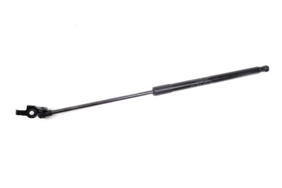Amortizor capota st&amp;acirc;nga față LEXUS RX _L2_ 2020 OEM: 53440-0E070-A | 13618797 foto