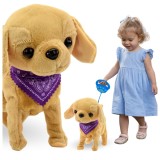 C&Acirc;INE INTERACTIV PE LESĂ MERGEM ȘI LATRĂM