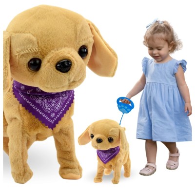 C&amp;Acirc;INE INTERACTIV PE LESĂ MERGEM ȘI LATRĂM foto