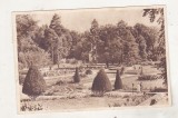 bnk cp Oradea - Baile 1 Mai - In parc - circulata 1958 - Libraria noastra