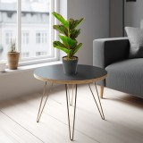 Planta artificiala frunze zebra 34 cm, verde negru, in ghiveci, decor casa birou modern