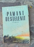 M.Solohov-Pamant destelenit
