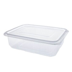 Caserole Capac Atasat, 205x150x70 mm,10 Buc/Set, 1750 ml, Plastic Transparent, Caserole Reactangulare, Caserole de Unica Folosinta Alabala, Caserole c foto