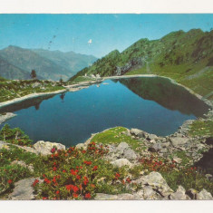 FA6 - Carte Postala - ITALIA - Lago di Pescegallo, circulata 1976