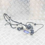 Cablaj ușă st&acirc;nga spate MASERATI GHIBLI M157 2015 OEM: 670008607,6700086070 12442485