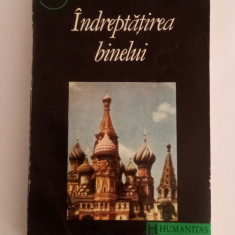 Îndreptățirea binelui - Vladimir SOLOVIOV