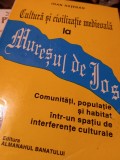 CULTURA SI CIVILIZATIE MEDIEVALA LA MURESUL DE JOS