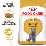Royal Canin British Shorthair Adult hrană uscată pisică, 10kg