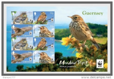 WWF 2017-GUERNSEY-Bloc de 8 timbre nestampilate- pasari, Meadow Pipit Birds,MNH foto