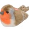 Pasare cu sunet Macaleandru - EUROPEAN ROBIN