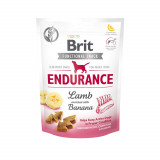 Cumpara ieftin Brit Care Dog Snack Endurance Lamb, 150 g