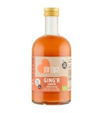 Bautura Ecologica Ghimbir Morcov Premium 500ml Bio Today