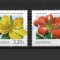ROMANIA 2020 - FLORI DE IARNA, MNH - LP 2310