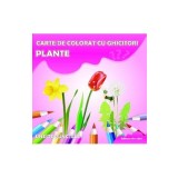 Plante - Carte de colorat cu ghicitori