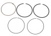 Set segmenti GoKart Gx270, diametru 77mm, latime 3.4mm, inaltime: 2mm / 2mm / 2.... Cod Produs: MX_NEW KGO0031
