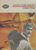 Aripile Fr&acirc;nte - Djubran Khalil Djubran, Minerva 1989, Roman, Biblioteca pentru Toti, 250 pagini