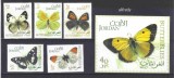 IORDANIA 2007, Fauna, Fluturi, serie neuzată, MNH