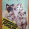 carte pentru copii - paradisul pisicilor - din anul 1992