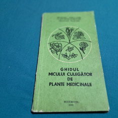 GHIDUL MICULUI CULEGĂTOR DE PLANTE MEDICINALE /1985 *